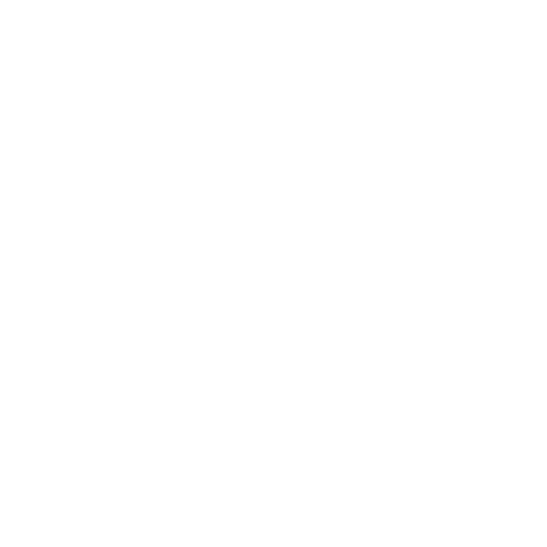 Logo Anez